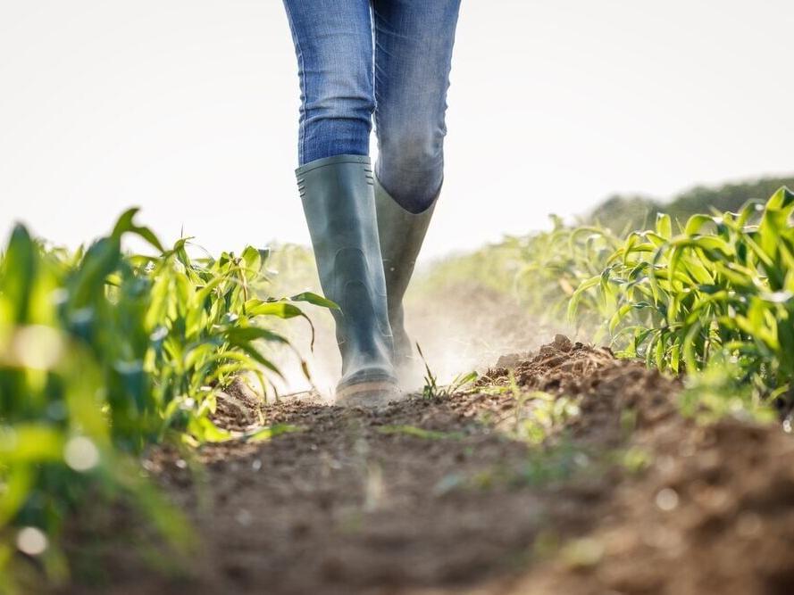 New Hampshire Farms Lose $3.5M per Year to Natural Hazards
